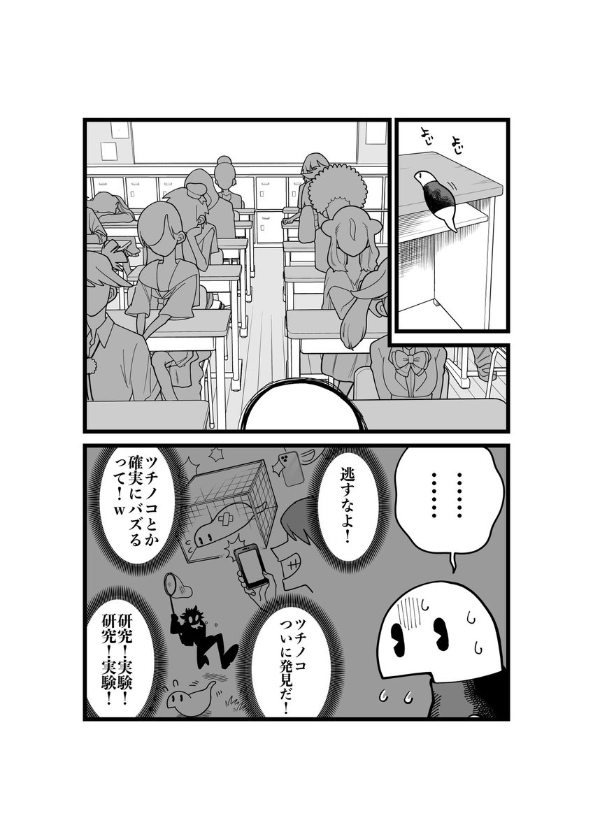 ツチノコが高校生になる漫画
第一話 右隣のわたし

#漫画が読めるハッシュタグ 
#ツチノコ君とぼくわたし 