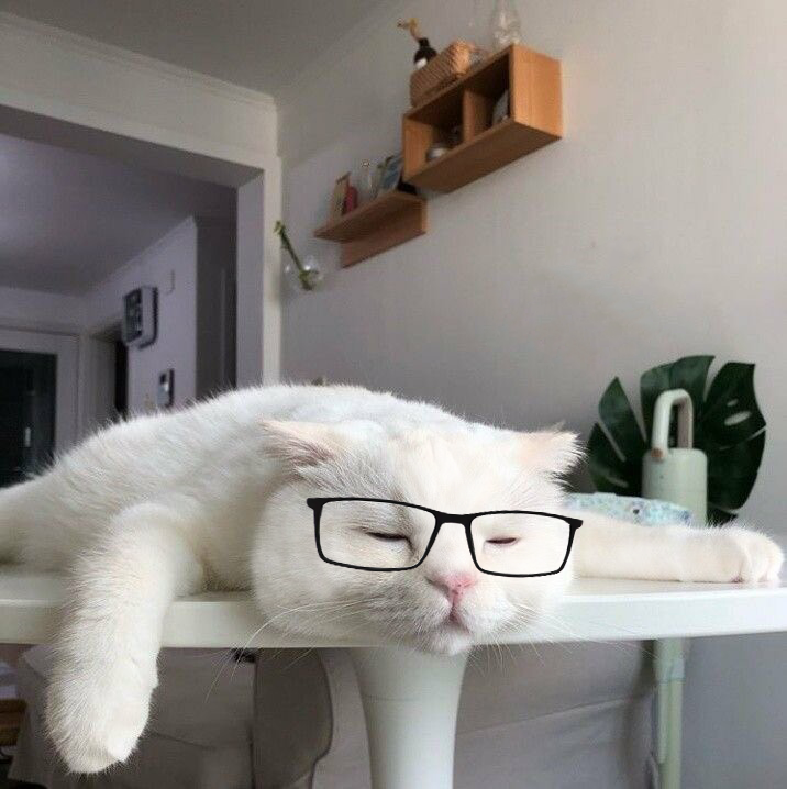 Good morning to everyone except my over-serving bartender (me) who caused me to over-sleep this morning.