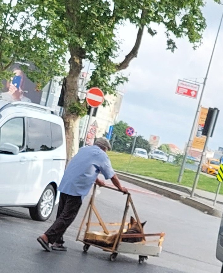 Esra Topcu (@esr_hypatia) on Twitter photo Babalar ve oğulları 🐕🐕👴 Babalar ve oğulları 🐕🐕👴