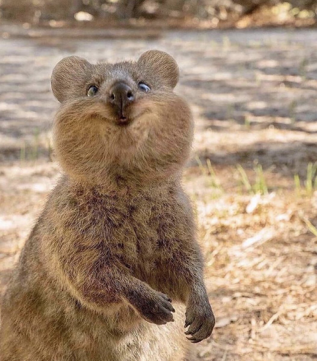 Be the reason someone smiles today 😊

📸 CrusySuzy