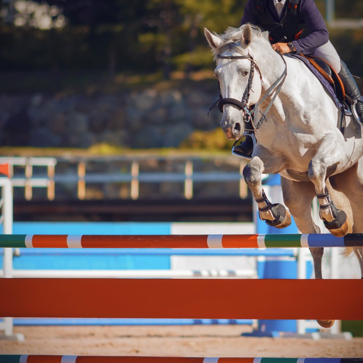 🏇 International Jumping Monte-Carlo festival is currently taking place in Monaco. Admire the competition located on the quay of the swimming pool on the port Hercule.
More information on the official website jumping-monaco.com