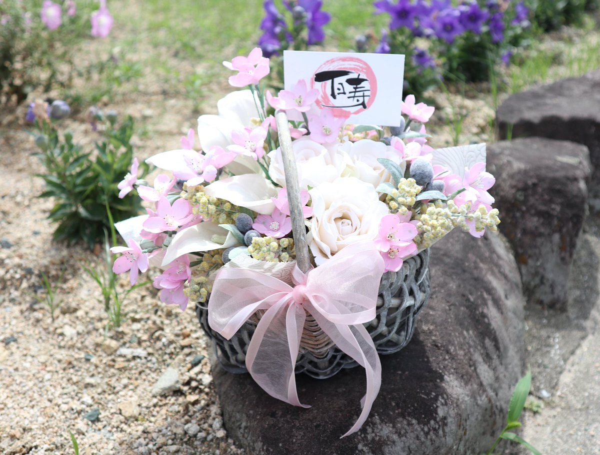 Flowerポプリhouse 百寿 のお祝い 白い布から咲いた さくらひめ と カラー を花籠にアレンジさせて頂きました 百寿おめでとうございます いつまでもお元気でいてくださいね 愛媛県開発 デルフィニウム新品種 さくらひめ 花言葉 Flowerポプリhouse 百寿 のお祝い 白い布から咲いた さくらひめ と カラー を花籠にアレンジさせて頂きました 百寿おめでとうございます いつまでもお元気でいてくださいね 愛媛県開発 デルフィニウム新品種 さくらひめ 花言葉
