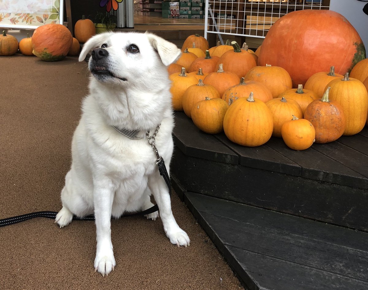 RIA..softly whisper tweet media