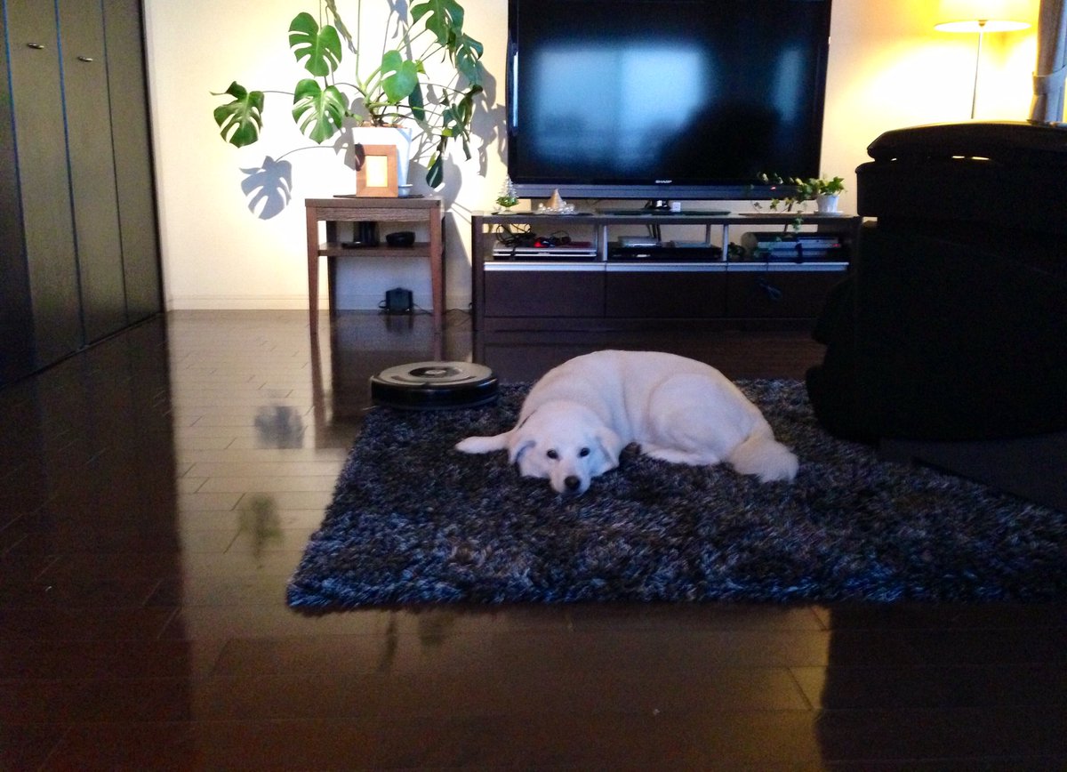 RIA..softly whisper tweet media