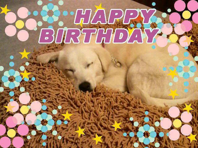 RIA..softly whisper tweet media