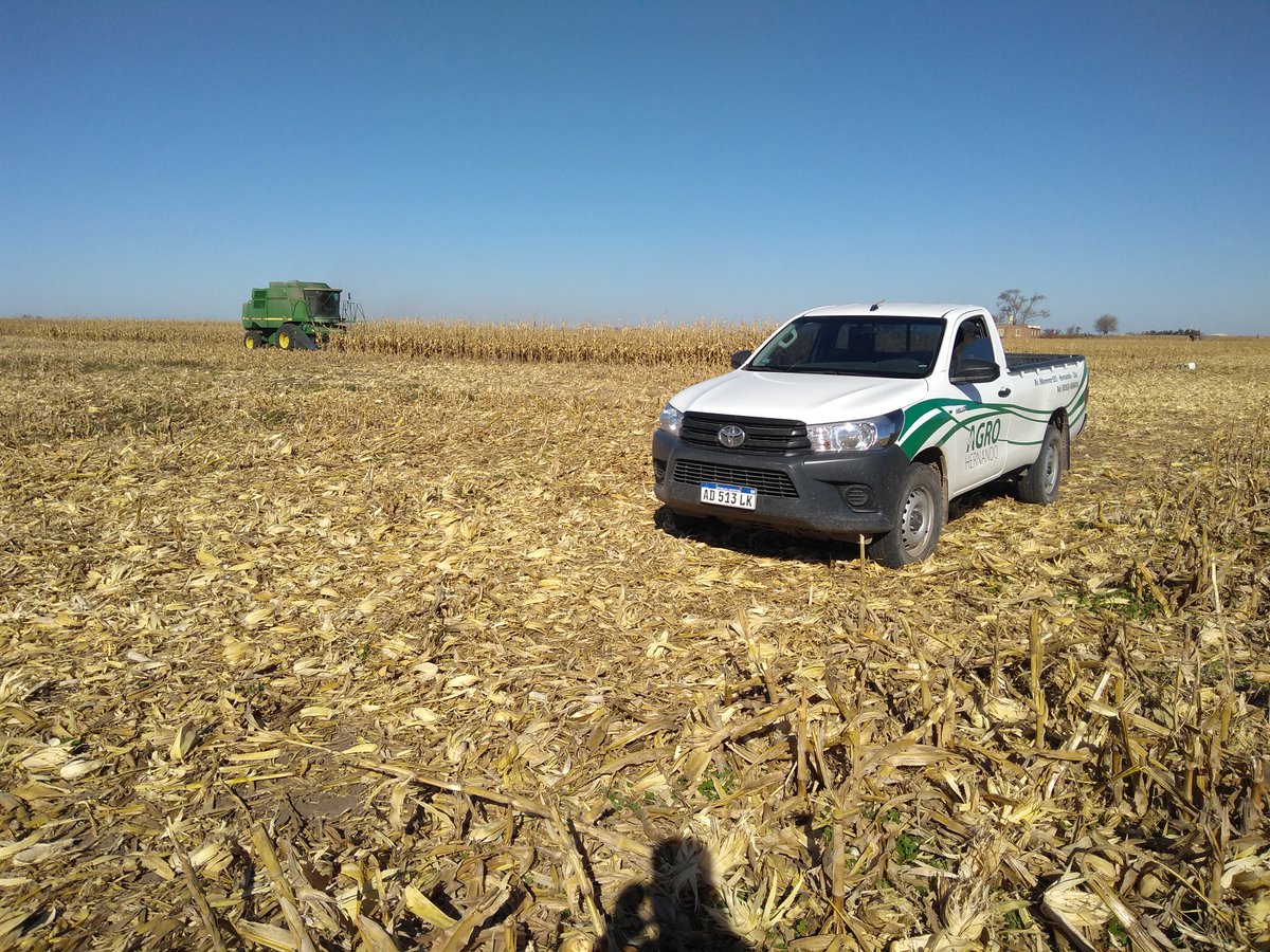 Brunomacchi5's tweet photo. Cosechando acrux Pwu en la localidad de Hernando 
12900 Kg!!💣💣
#agrohernando
@ALZ_Agro @ALZAgroMercados https://t.co/xAF5HiWHTs