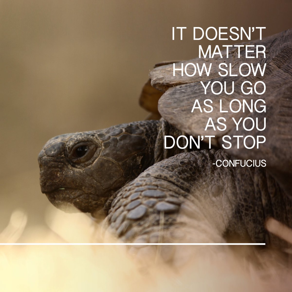 SmilesforLifeVA's tweet photo. We can't always finish things as quickly as we like, but we’ll never finish them at all if we don’t work on it a little at a time! Whatever you are working on, you've got this! https://t.co/0swhQYyPHd