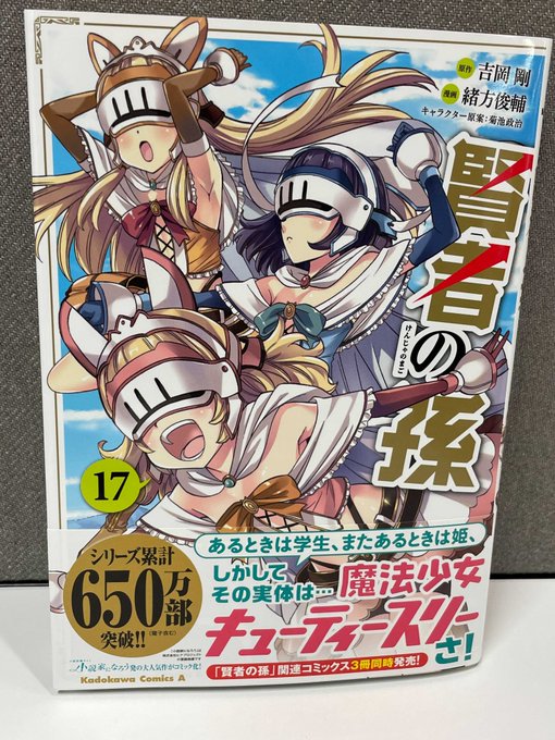 画像まとめ 賢者の孫 3ページ目 アニメレーダー