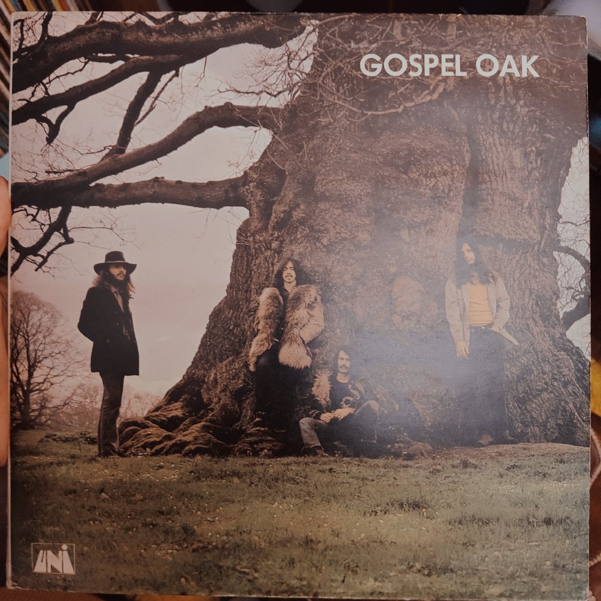 Underrated gem of an album with a Crosby, Stills and Nash vibe. Pick it up if you can find it! #vinyl #vinylrecords #vinylcollection