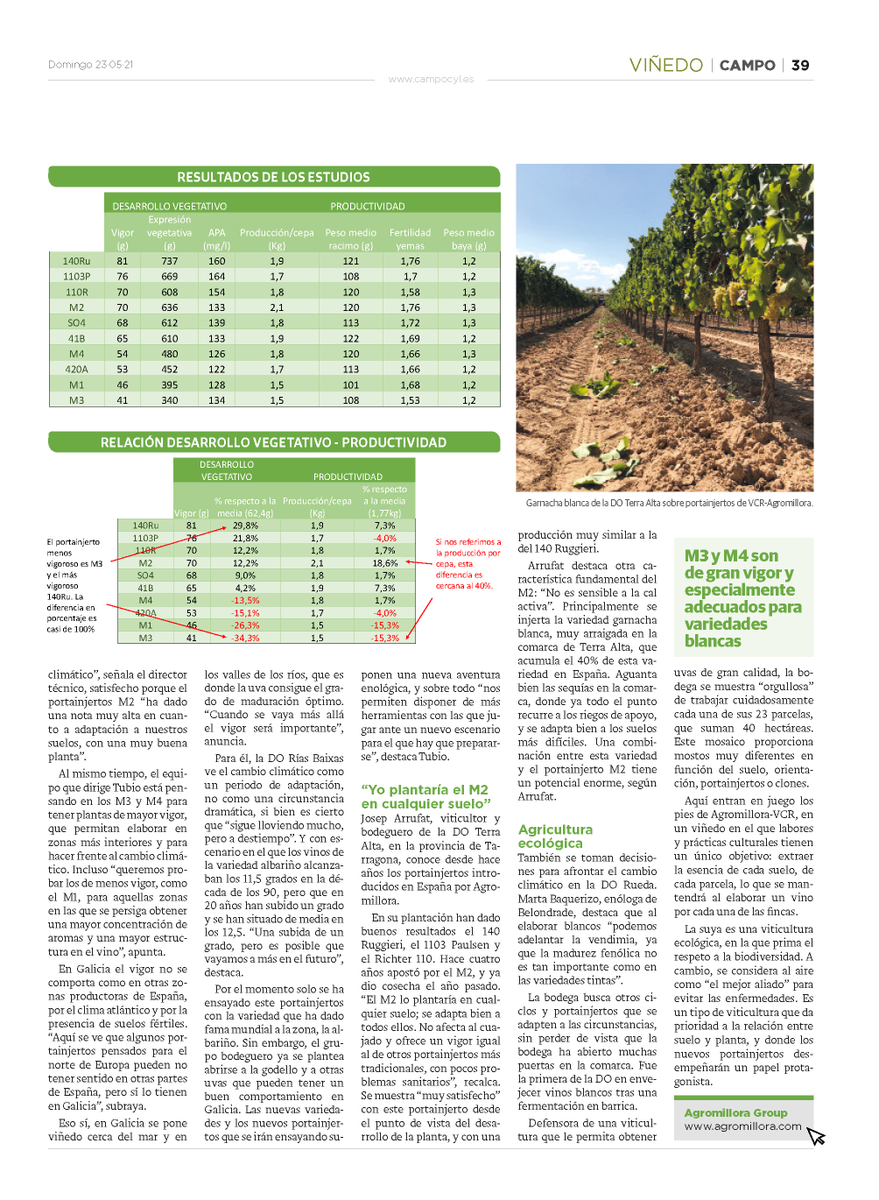 Agromillora tweet media
