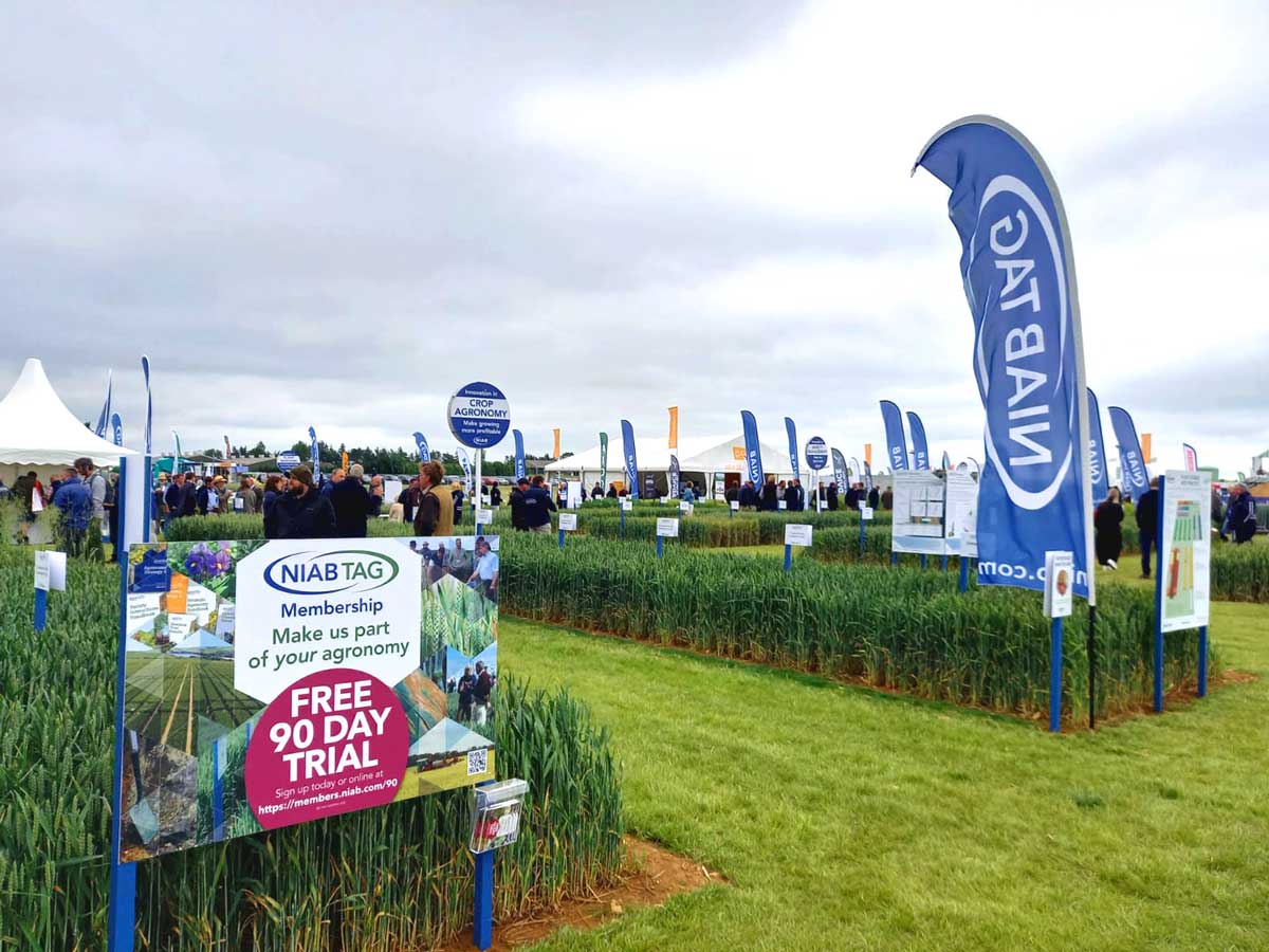 StollerEurope's tweet photo. 🌾Stoller Europe was present at #Cereals2021 held in Boothby Graffoe Lincolnshire, UK from June 30 to July 1. At the event, organized to help arable farmers and agronomists with the latest technologies, equipment, innovations.
#ThisIsStoller #ThisIsCustomer #StollerTechnology https://t.co/hwqlqhvEX0