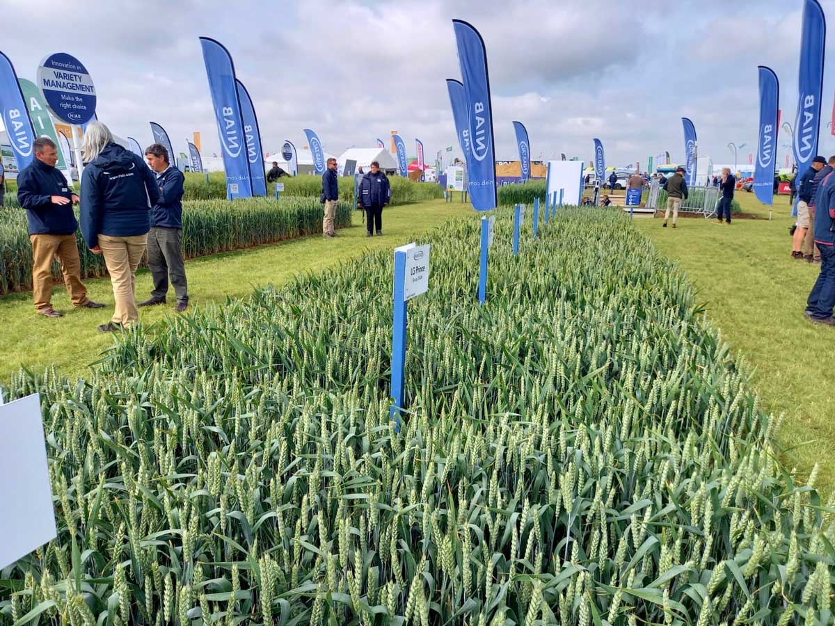 StollerEurope's tweet photo. 🌾Stoller Europe was present at #Cereals2021 held in Boothby Graffoe Lincolnshire, UK from June 30 to July 1. At the event, organized to help arable farmers and agronomists with the latest technologies, equipment, innovations.
#ThisIsStoller #ThisIsCustomer #StollerTechnology https://t.co/hwqlqhvEX0