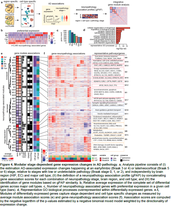 manoliskellis's tweet photo. Excited to share our #SingleCell dissection of human #Hippocampus #EntorhinalCx #Anatomical substructures &amp; stage-specific changes in #Alzheimers
https://t.co/InrAYihjfq
with @DrLiHueiTsai #JoseDavilaVelderrain @MathysHansruedi @Mohammadi_PhD @Brad_Ruzicka #DavidABennett #ROSMAP https://t.co/57iXp97Umk