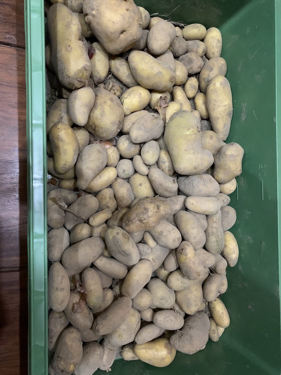 Hiromi Goubaraグラビューハート Grabeauheart Twitter