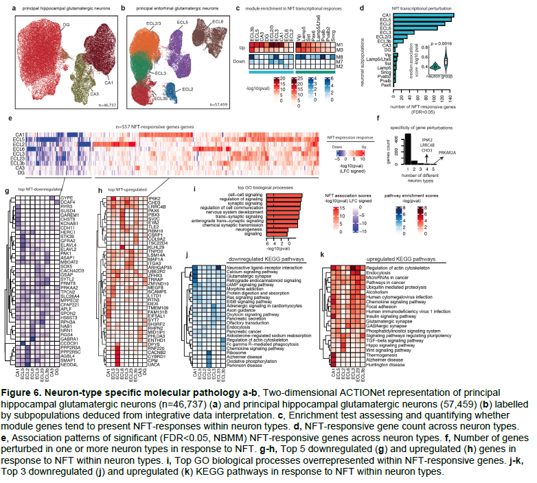 Manolis Kellis (@manoliskellis) on Twitter photo Excited to share our #SingleCell dissection of human #Hippocampus #EntorhinalCx #Anatomical substructures & stage-specific changes in #Alzheimers
biorxiv.org/content/10.110…
with @DrLiHueiTsai #JoseDavilaVelderrain <a href="/MathysHansruedi/">Mathys Lab</a> @Mohammadi_PhD @Brad_Ruzicka #DavidABennett #ROSMAP Excited to share our #SingleCell dissection of human #Hippocampus #EntorhinalCx #Anatomical substructures & stage-specific changes in #Alzheimers
biorxiv.org/content/10.110…
with @DrLiHueiTsai #JoseDavilaVelderrain <a href="/MathysHansruedi/">Mathys Lab</a> @Mohammadi_PhD @Brad_Ruzicka #DavidABennett #ROSMAP