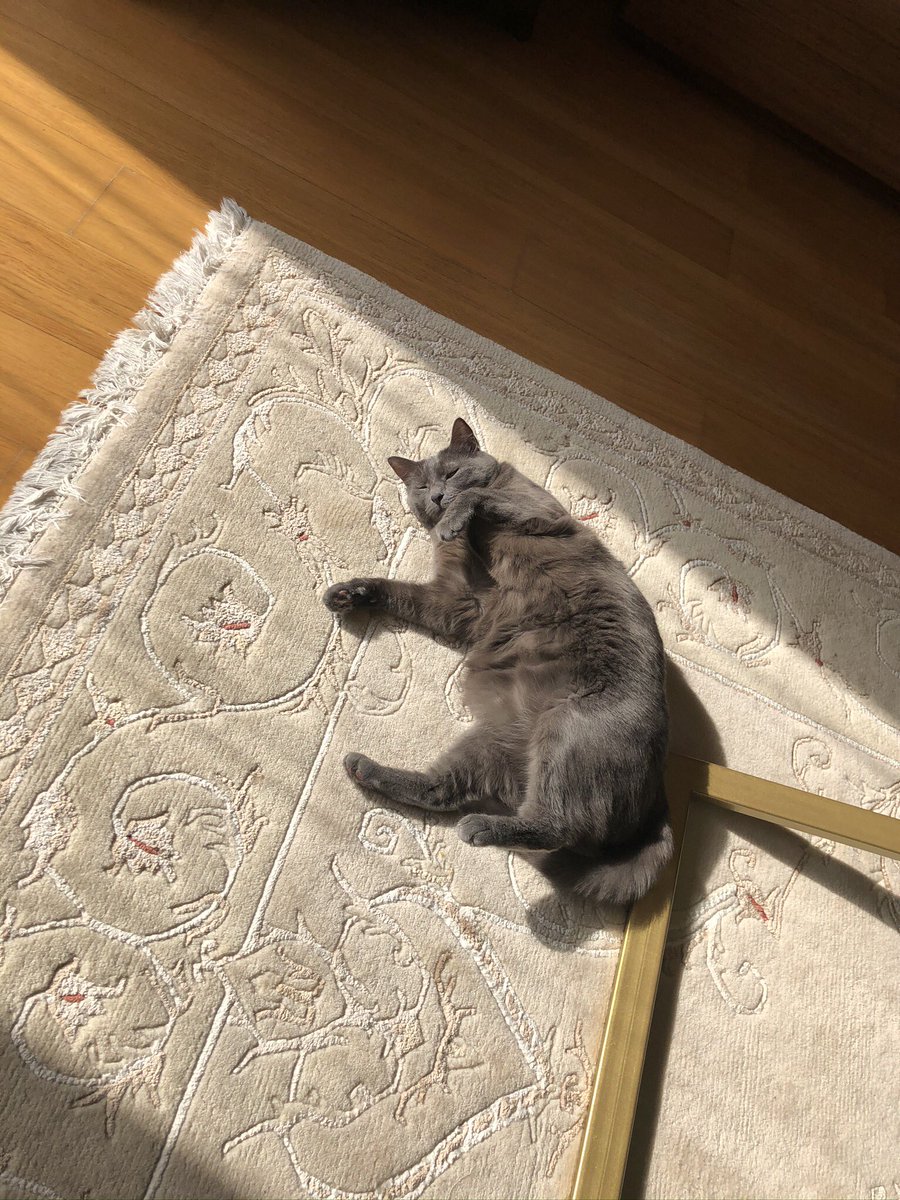 chonkluna's tweet photo. ayy göbik akımına geç mikaldım https://t.co/2lomRvo9kP