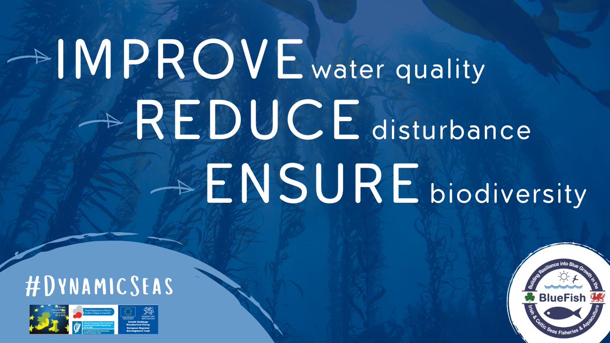 BlueFish_EU's tweet photo. Last week, during our #DynamicSeas conference, Dr Mark Walton concluded that with climate change-driven declines in #kelp area & density, these are the habitats in which management should focus on building #resilience. π https://t.co/i1unuN0NFO