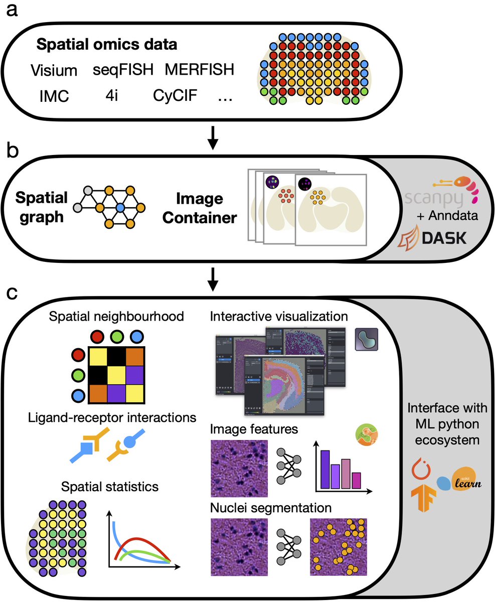 Hannah Spitzer tweet media