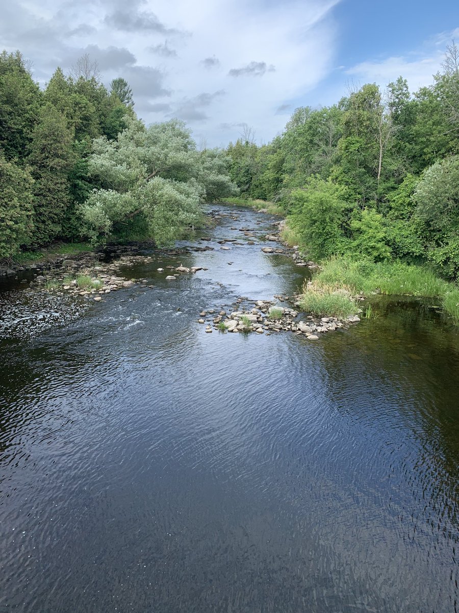 Favourite part of my day. My morning walk. #wellbeing