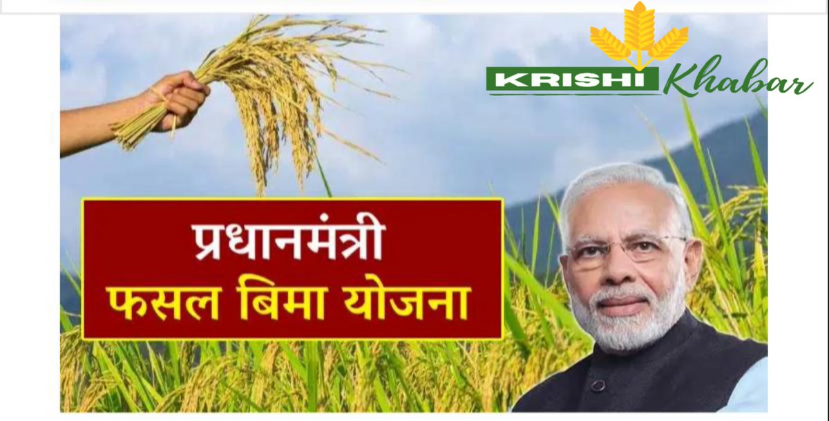 thekrishikhabar's tweet image. krishikhabar.inकेंद्रीय-कृषि-मंत्रालय-क/
केंद्रीय कृषि मंत्रालय के द्वारा 1 जुलाई से 7 जुलाई तक फसल बीमा योजना का आयोजन किया जा रहा है. #krishikhabar #nextsource #haryana #PMFBY