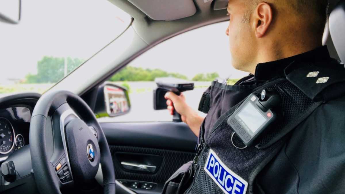 VIN CHIP tweet media