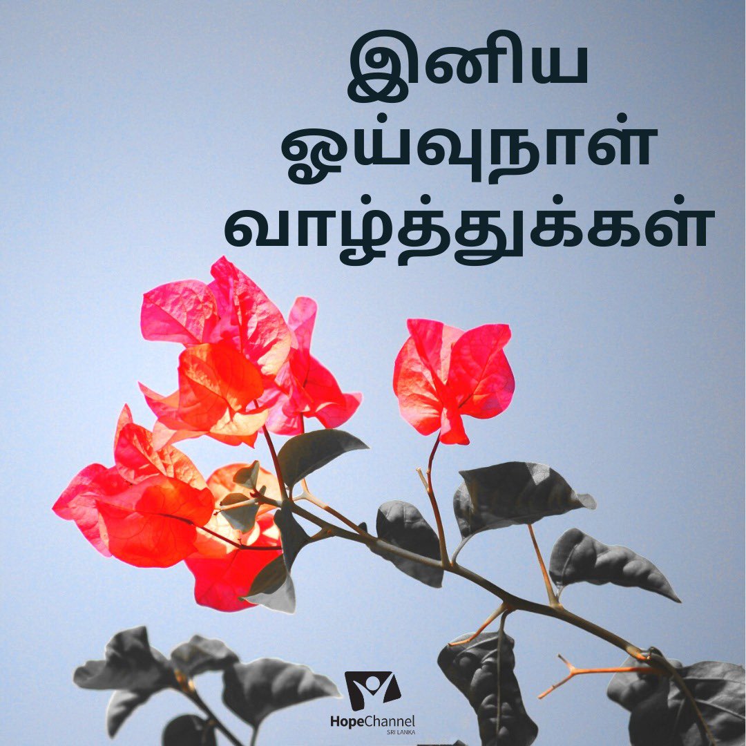 Happy Sabbath Hope Channel family! 

Stay Blessed! 😊 
#HopeforSriLanka #HappySabbath #Beblessed #praiseGod #Hope