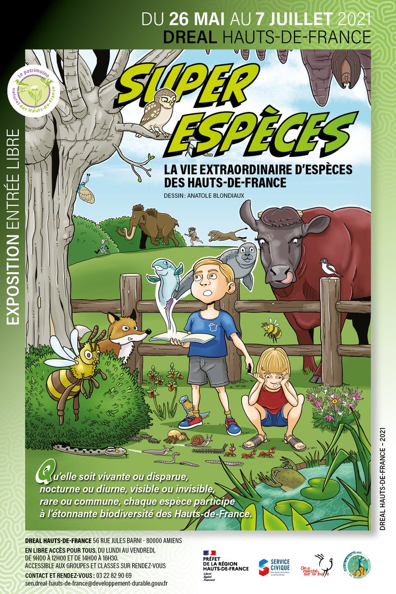PatNat_HdF's tweet photo. 🔔Derniers jours pour voir l'#expo  « Super espèces : la vie extraordinaire d’espèces des Hauts-de-France » sur le Parvis de la cité administrative, à #Amiens. 
🌿Venez découvrir la biodiversité de votre région en format #BD jusqu'au 7 juillet ! #DrealHdF 
https://t.co/YzP134q76O https://t.co/OlfEzHRdV6