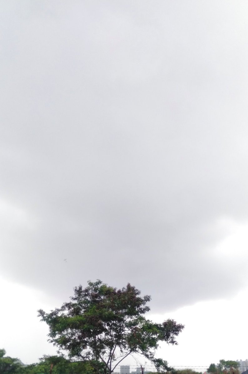 LakhpatiRachna's tweet image. Cloudy skies...wo bist du sonne?

#cloudstory #samelocation #pune #photography #PhotoOfTheDay
