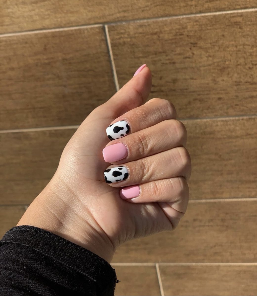 Celebrity Spa tweet media