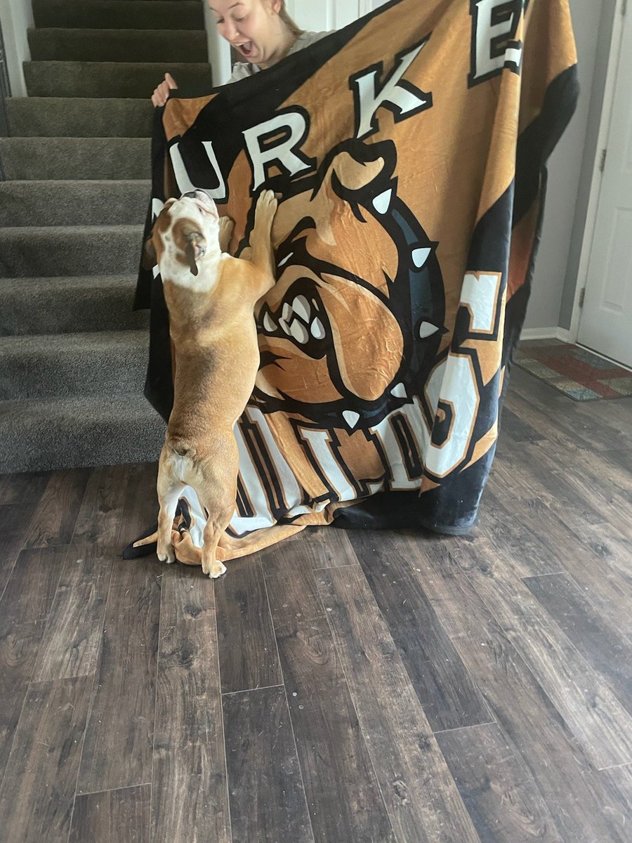 Every Bulldog will want one of these blankets and Quinn got hers! We have 19 available for immediate delivery. Email the Burke Booster Club at burkeboosterclub@gmail.com to reserve yours today!!!!
