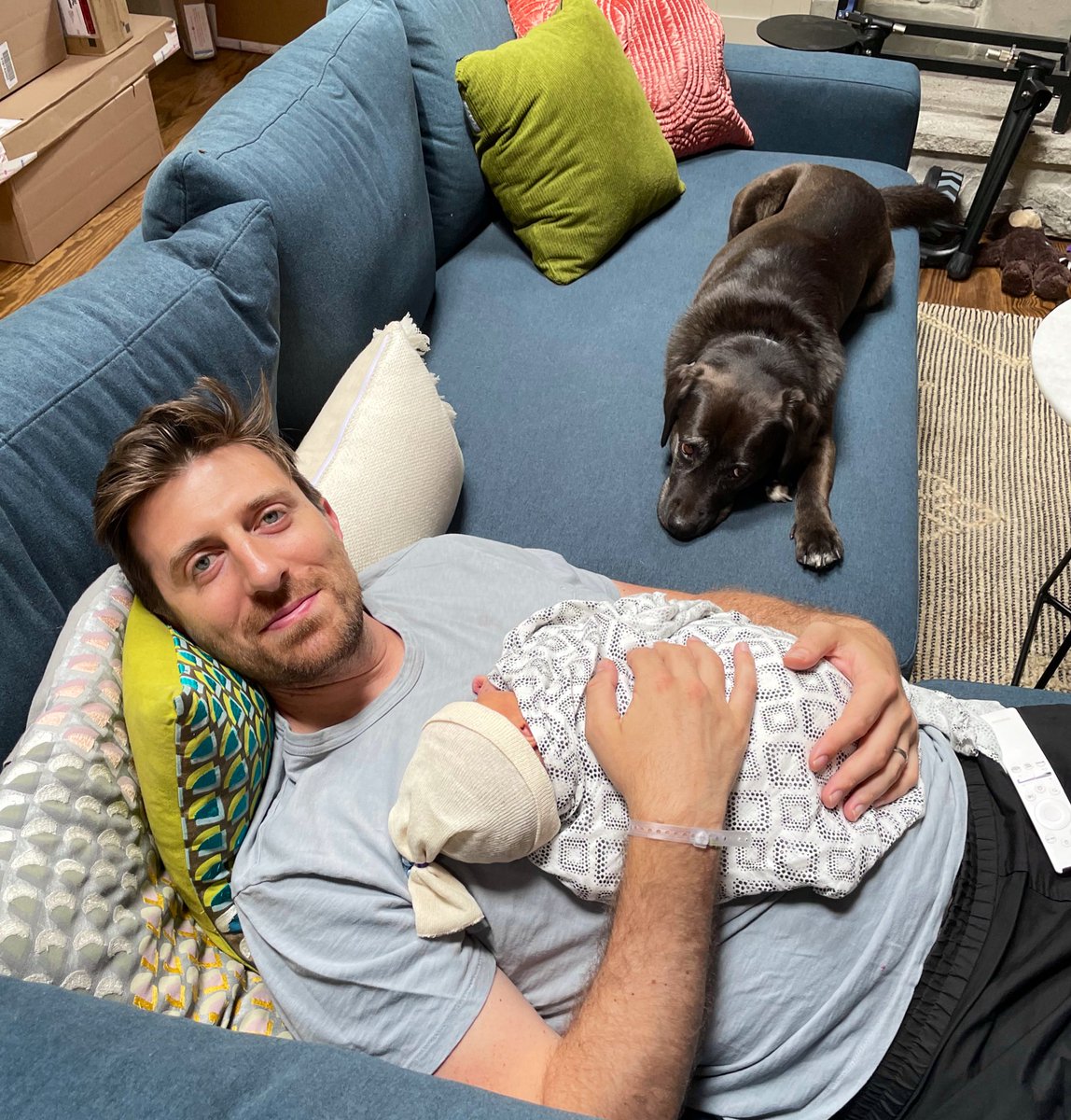 Ali Tercek tweet media