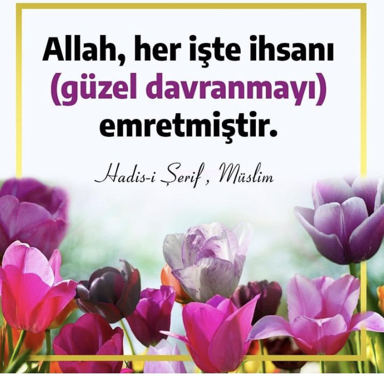 hzmehdi_geldi's tweet image. #hasis #CumamızMuebarekOlsun