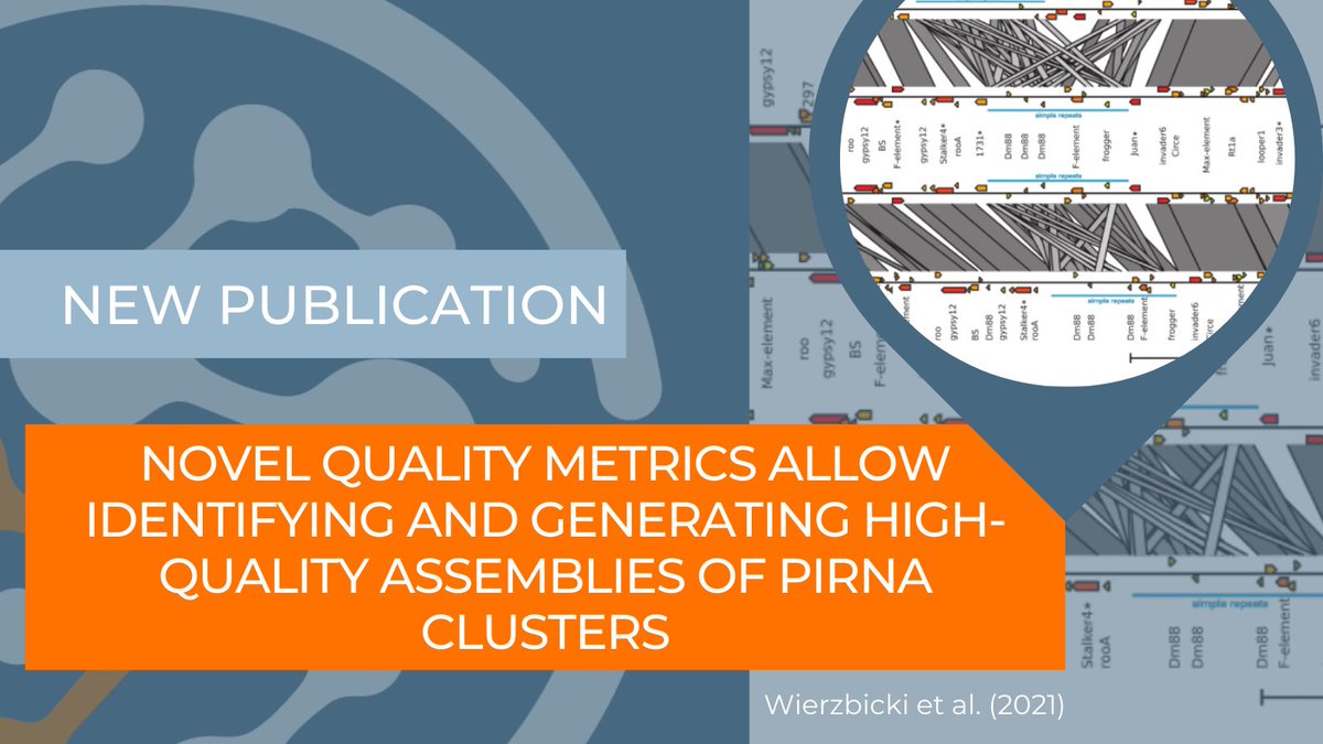 Congratulations <a href="/filwierz/">FilipWierzbicki</a>, <a href="/Schwarzock/">Florian Schwarz</a>, <a href="/KoflerRobert/">Robert Kofler</a>, and Odontsetseg Cannalonga on the new publication! We are excited to be included in your #research! #MolecularEcology #genomics
Check out their paper: hubs.la/H0RwqT60