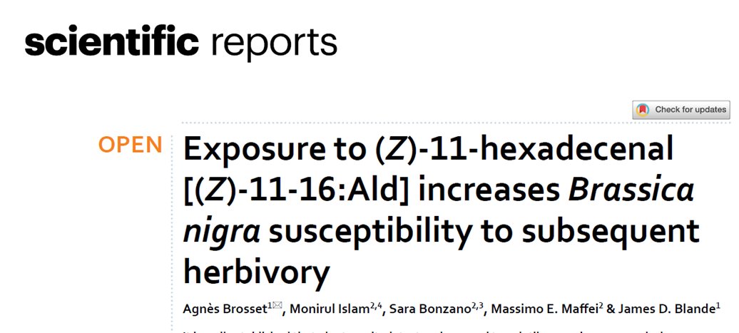 Martin Heil tweet media