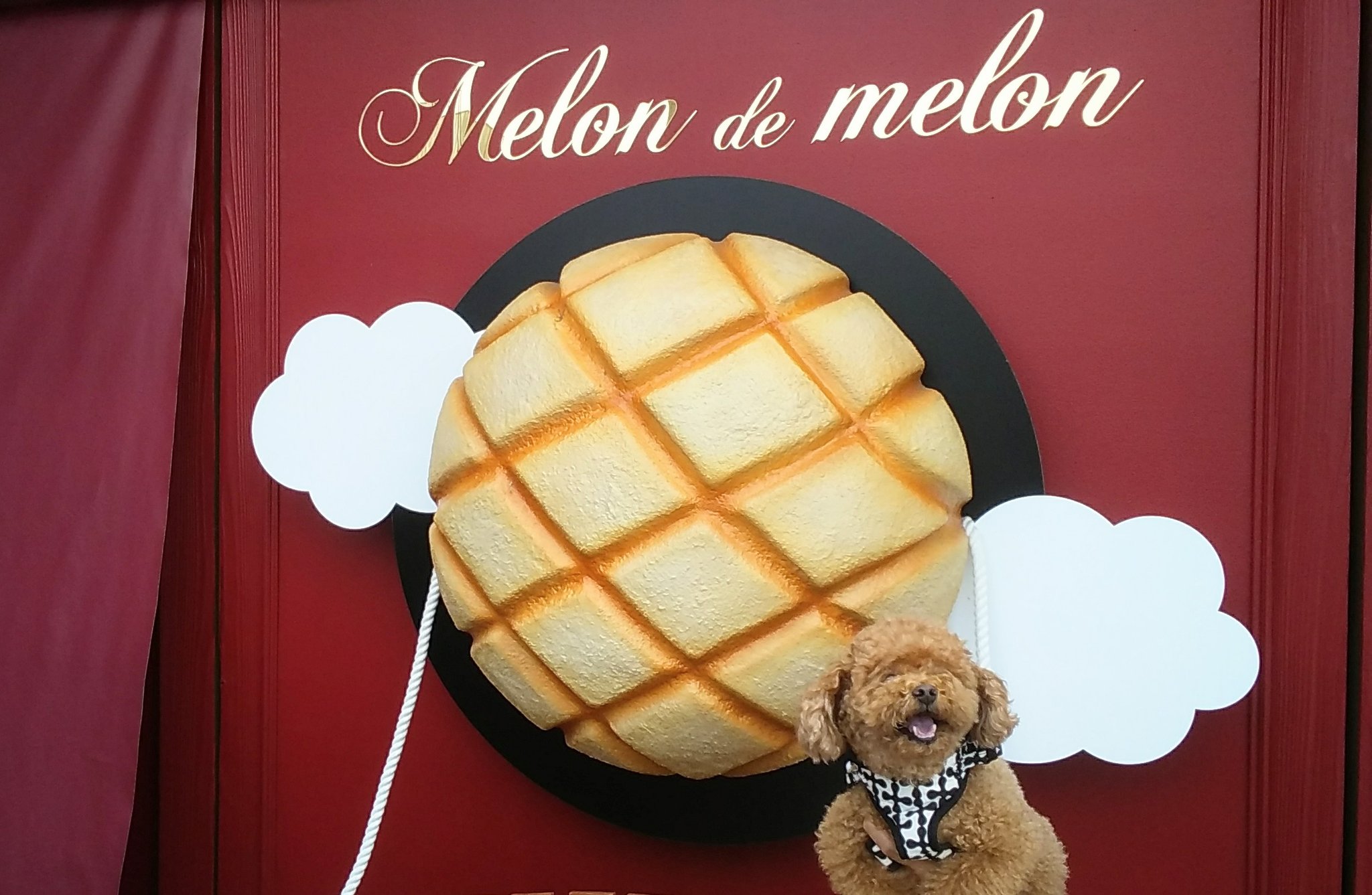 メロンパン専門店 Twitter Search Twitter