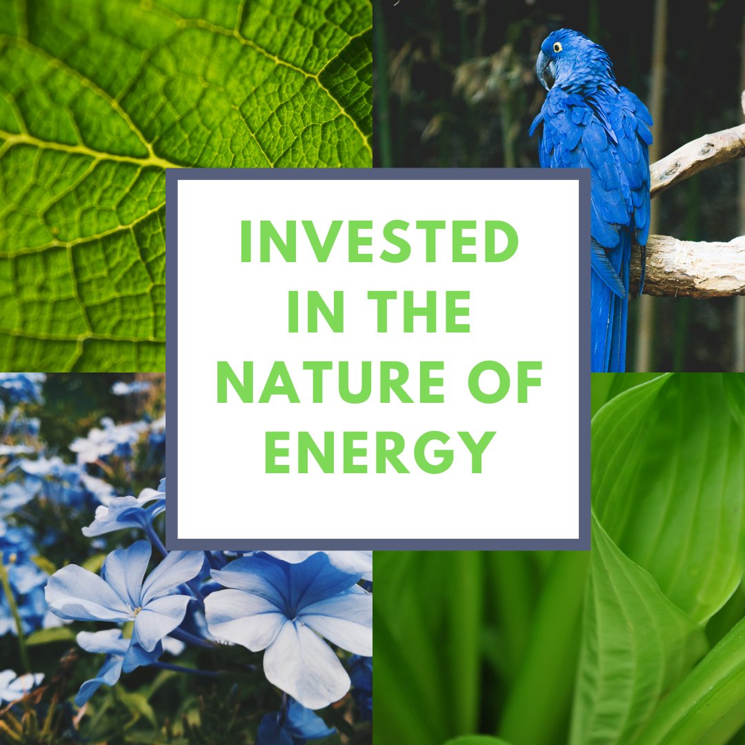 InstBio's tweet image. What is BioPhysical Economics? Visit our website bpeinstitute.org for more information.

#economics #nature #science #biophysical  #sustainability #energy #energyindustry #InvestmentDecisions #ESG #SustainabilityInvesting #EnergyTransition #CorporateFinance #Valuation