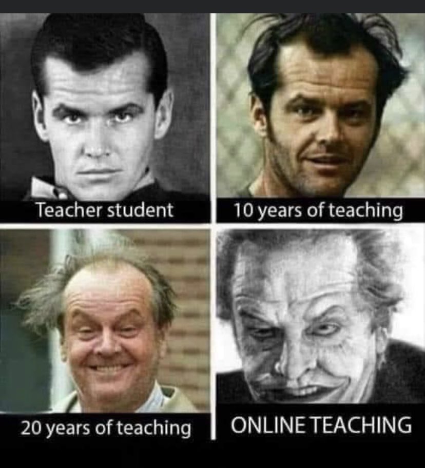 MrsSingleton's tweet image. Never have I seen a meme so apt 🤣😂😂😂😂