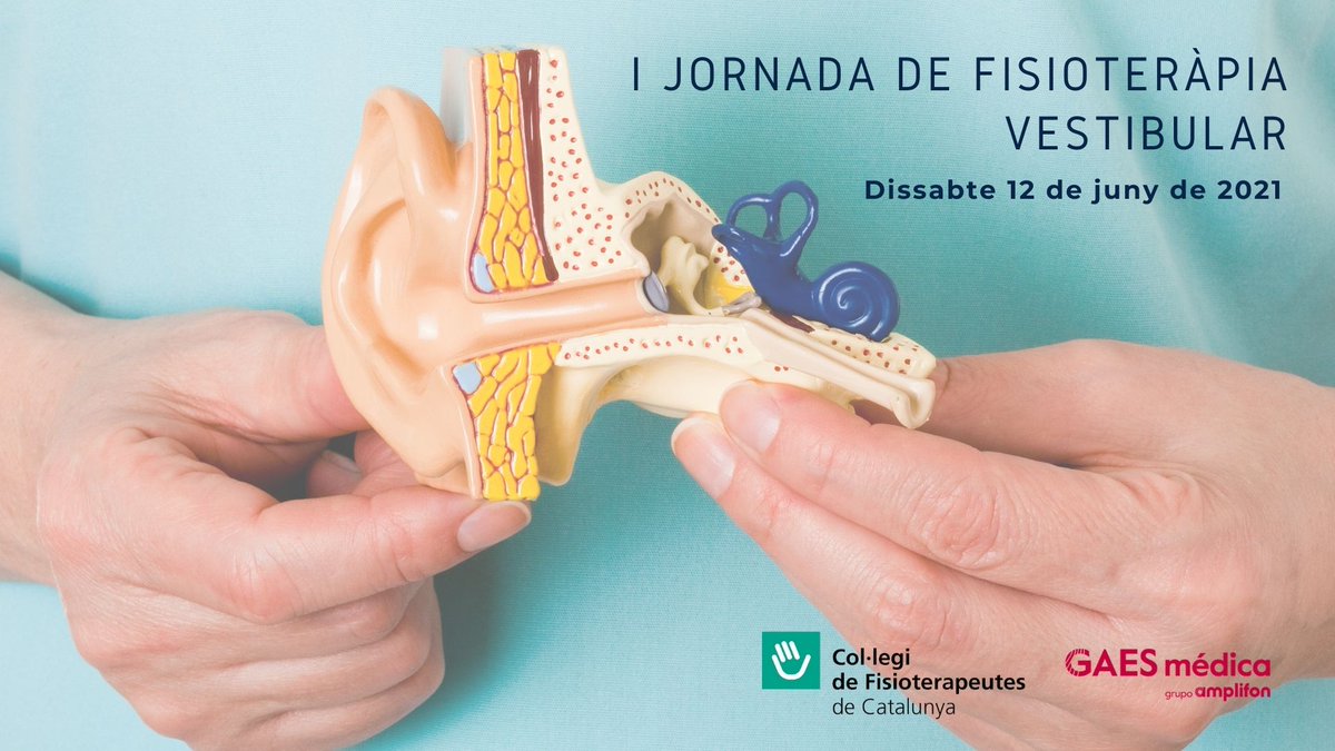 👉Ja està disponible al canal de Youtube de <a href="/ColFiCat/">CFC</a> el vídeo de la I Jornada de Fisioteràpia Vestibular
🔗tinyurl.com/3v9r2b4z 

[Uns inconvenients amb el vídeo, ens han fet demorar la seva publicació. Preguem ens disculpeu! 🙏]

Ara ja el podeu gaudir sencer ✅