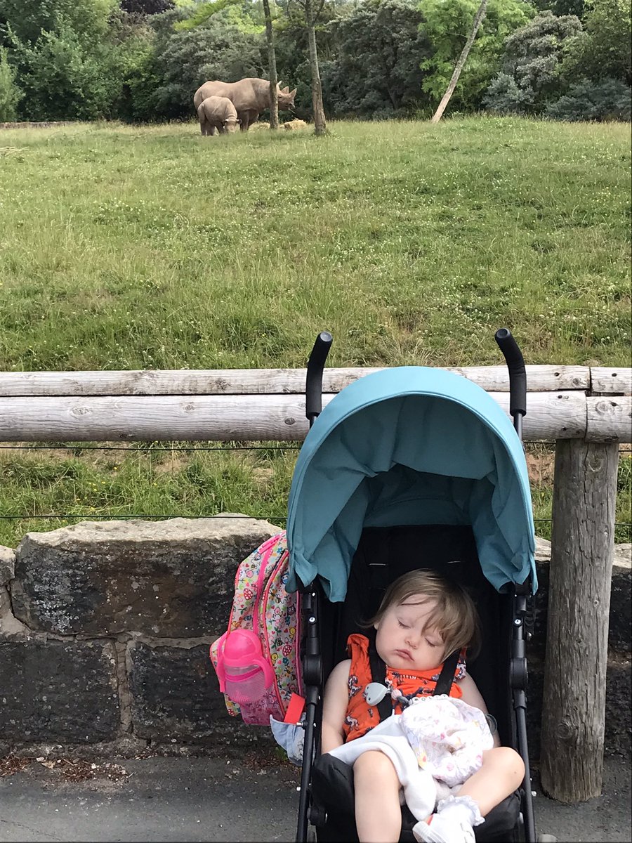 Skevs's tweet photo. Nice day at Chester Zoo. Mollys favourites were the rhinos https://t.co/RvUu0zm5YW