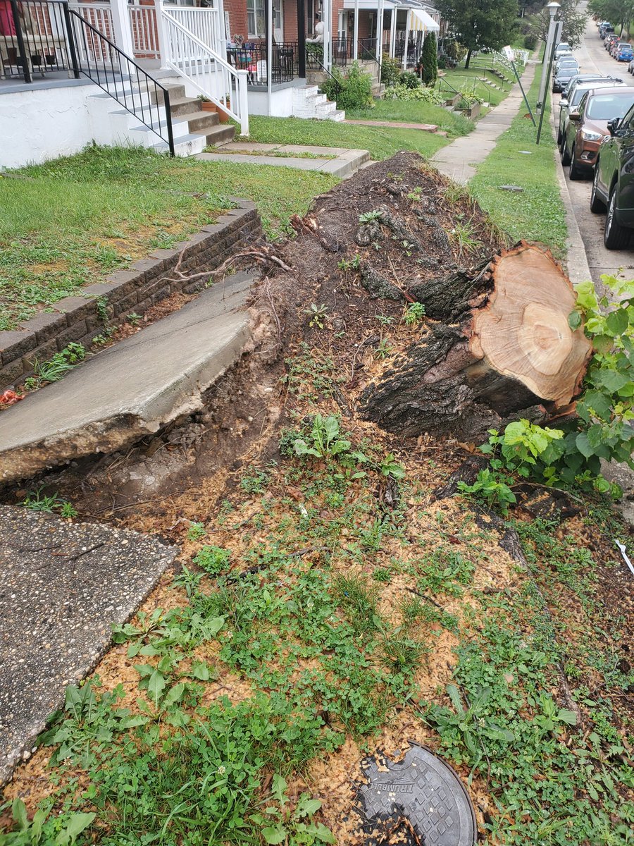 kogan84's tweet photo. When #baltimorecity gives no *uck about its citizens. Reached out to city officials and 311 for weeks to fix the city sidewalk #baltimoremayor #phyliciaporter #baltimore #wbaltv #fox45 #WJZ https://t.co/BgsKvCmj77