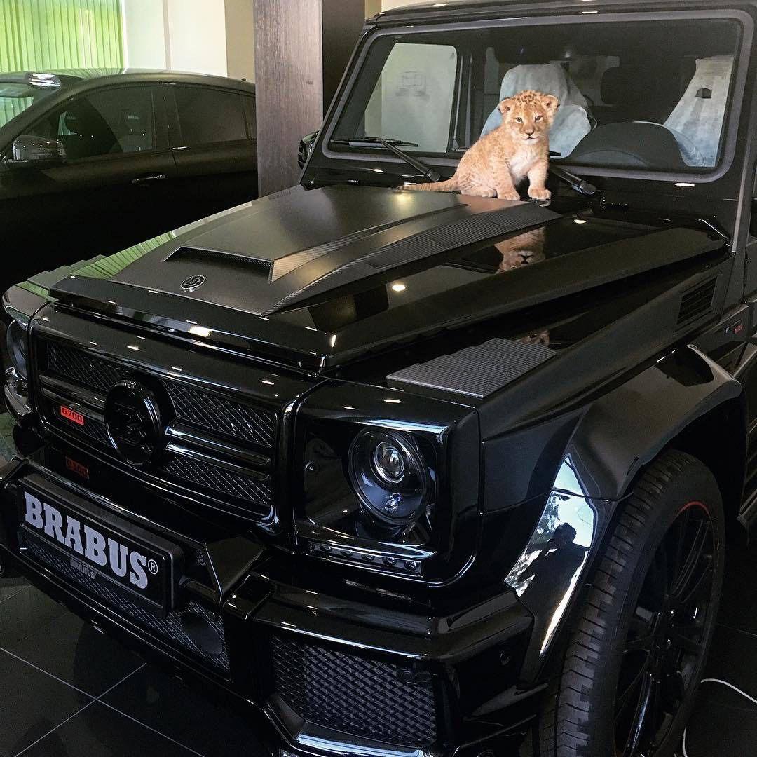 world on whells (@runcarspic) on Twitter photo 