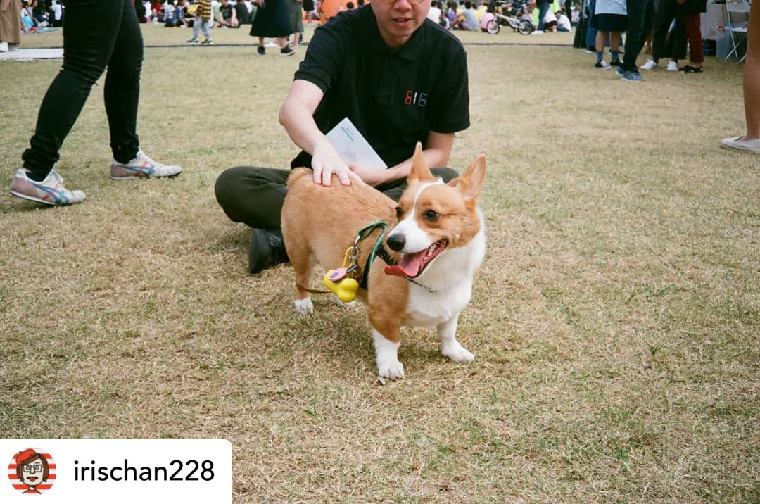 kongfilmjapan's tweet photo. RICOH ELNICA 35 (2590฿)💕
กล้องฟิล์ม Rangefinder หน้าตาสวย ดีไซค์คลาสสิคมากๆ ขนาดตัวกล้อง เล็กและ น้ำหนักเบา ขนาดพอๆกับ Olympus 35DC มาพร้อมเลนส์คมๆกินแสงดี อย่าง Rikenon 40mm 1.8 ให้ภาพคมสวย ละลายหลังสะใจ #กล้องฟิล์ม #ricohelnica35 #กล้องฟิล์มราคาถูก #filmphotography #film https://t.co/taepq3CK8M