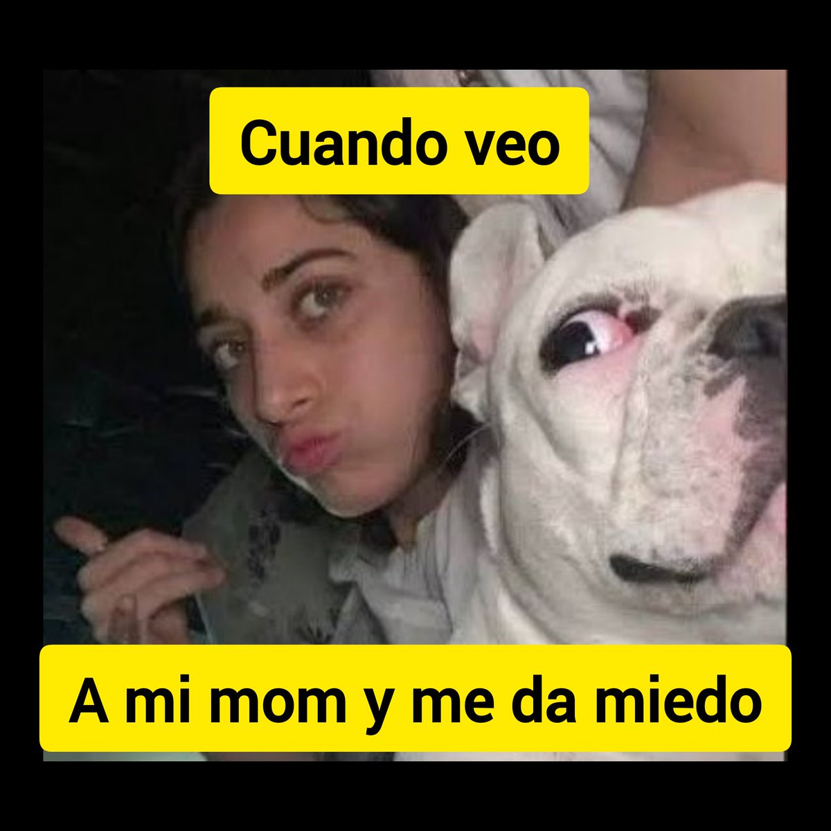 Jen_lover04's tweet photo. Cuando veo...
#CaseyMeme https://t.co/24O8EvuFoQ