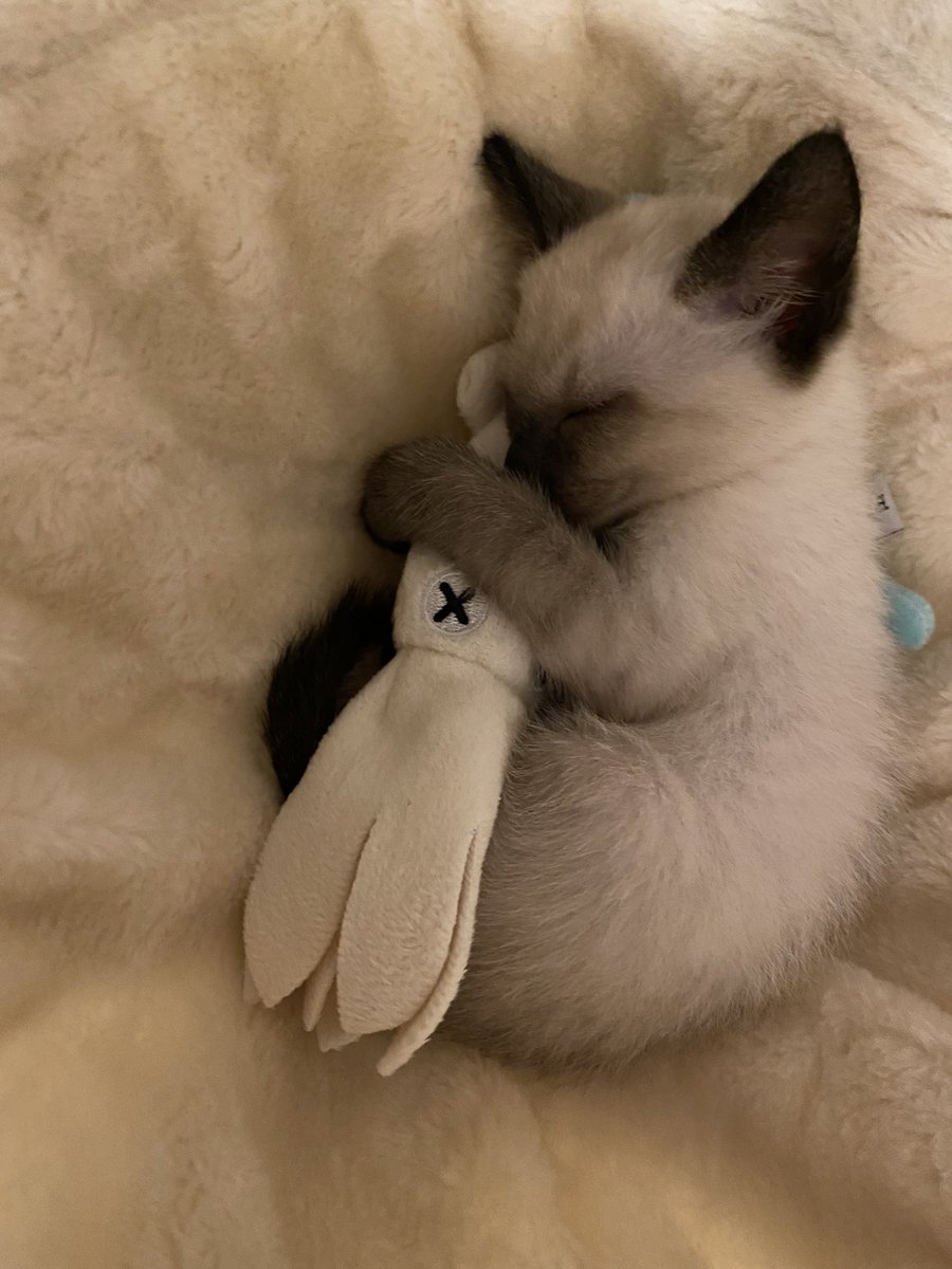 ぴーすけ25 (@sosuke0505) / Posts / X