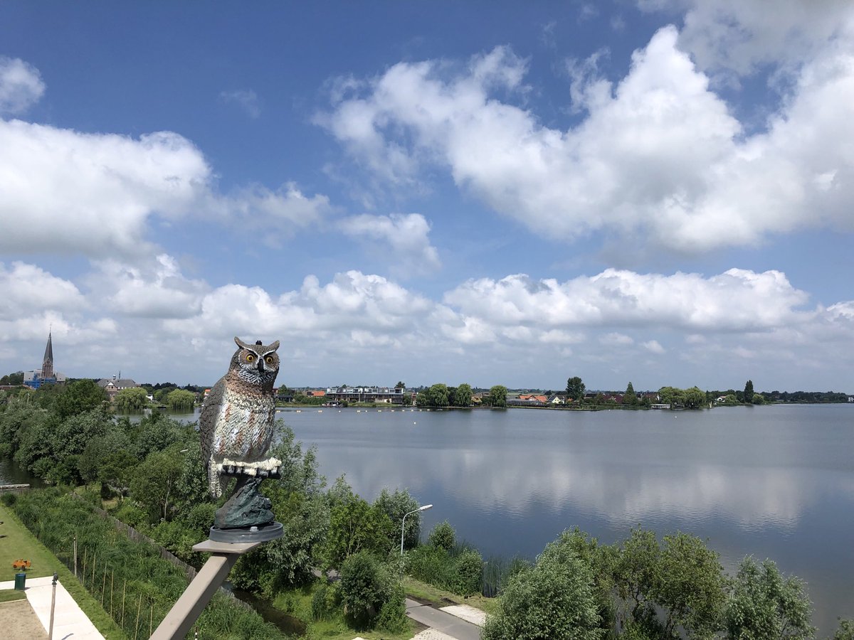 Groenehartstoc1's tweet photo. Blauwe lucht en vriendelijke stapelwolken boven de plassen bij #Langeraar #papeneiland https://t.co/5GKBsCOW1t