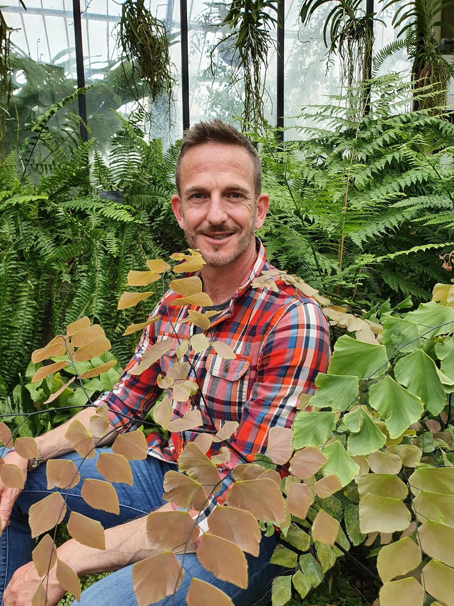 British Pteridological Society (@fernbps) on Twitter photo For a Filmy #FernFriday try tonight's BBC Gardeners' World (9:30pm BBC Two). Nick Bailey visits the Princess of Wales Conservatory <a href="/kewgardens/">KewGardens</a> where he celebrates their vast collection of #ferns. Also help with going #PeatFree For a Filmy #FernFriday try tonight's BBC Gardeners' World (9:30pm BBC Two). Nick Bailey visits the Princess of Wales Conservatory <a href="/kewgardens/">KewGardens</a> where he celebrates their vast collection of #ferns. Also help with going #PeatFree