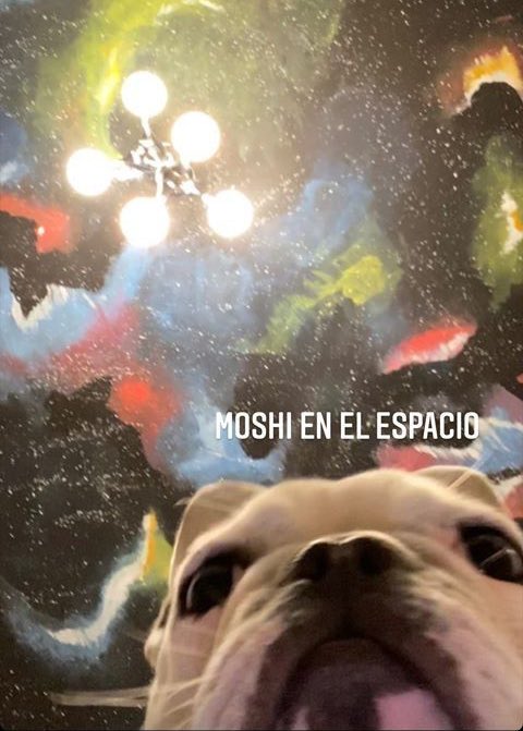 closevelasco's tweet photo. @lulignzalez @Jen_lover04 #CaseyMeme https://t.co/yNomAu79iH