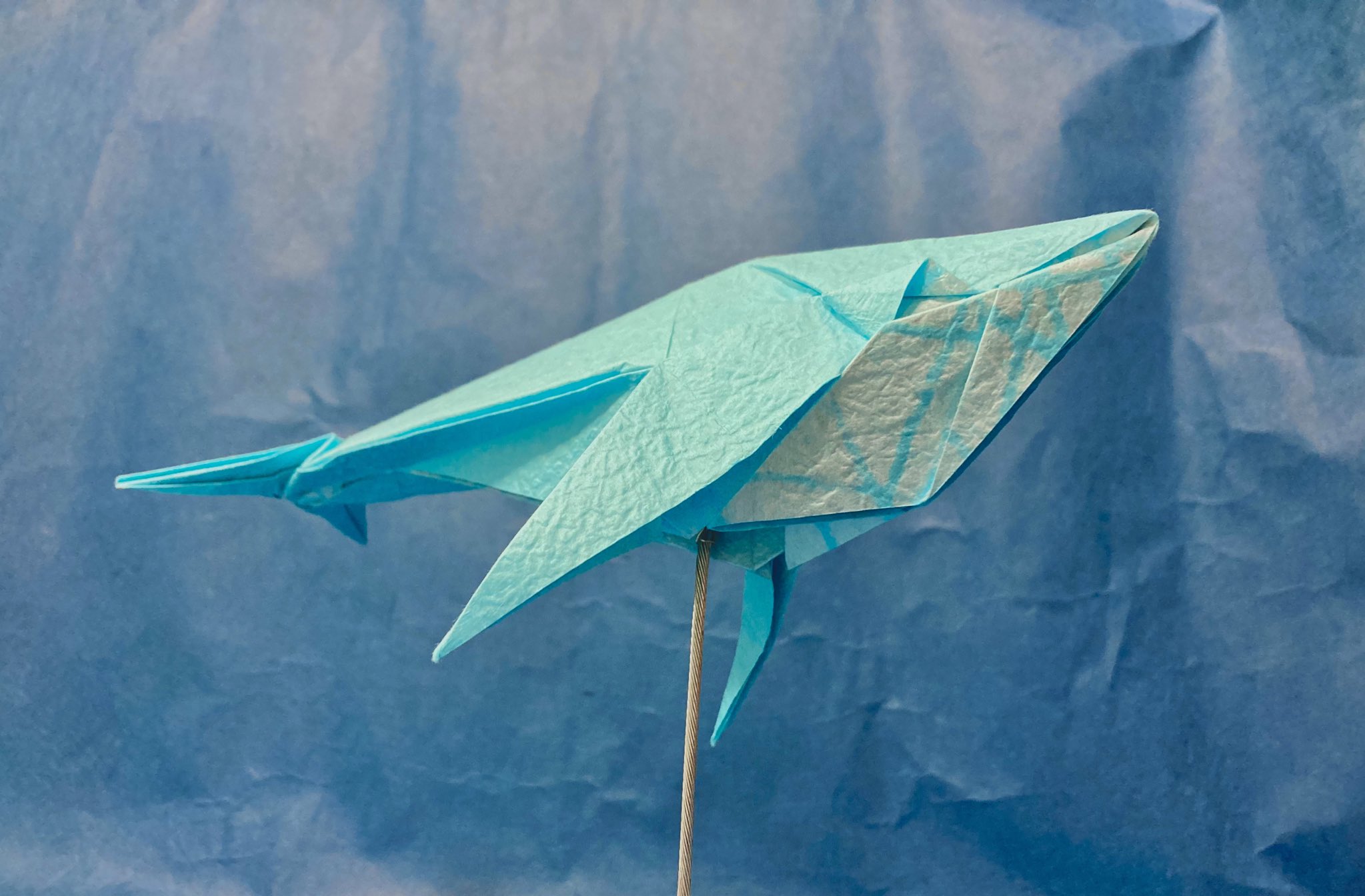 Taon Taon A Twitter Rt Kaaaakun0150 クジラの折り方を投稿しました 立体的に作れるので是非作ってみてくださいね Origami Whale How To Fold 折り紙 クジラの折り方 T Co Zo9wn1sbhu Youtubeより 折り Twitter