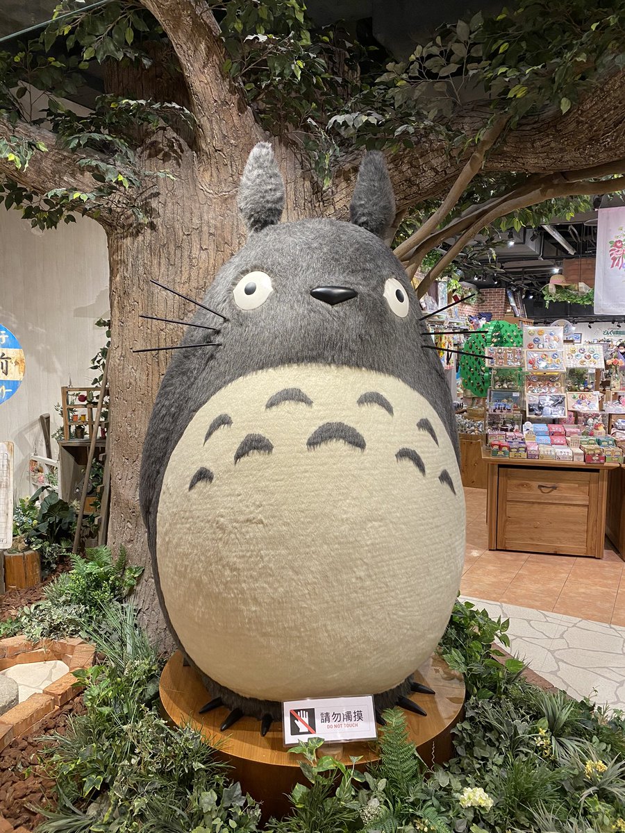 LOSTATSEAYUI's tweet photo. 1人でパシャパシャこれ撮ってた草日本人なのに https://t.co/XyfjNhcbEE
