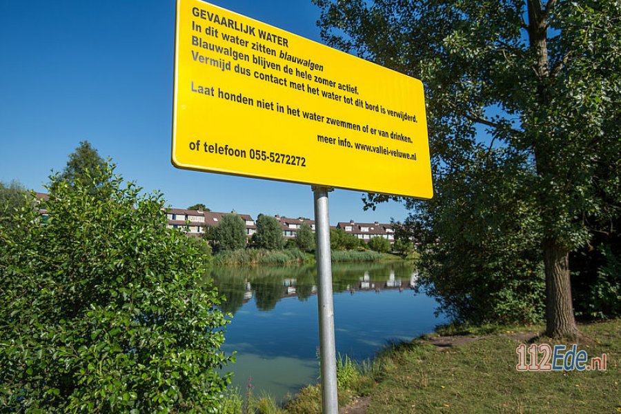 Blauwalgen aangetroffen in de Victoria Vesta-vijver #Ede. 112Ede.